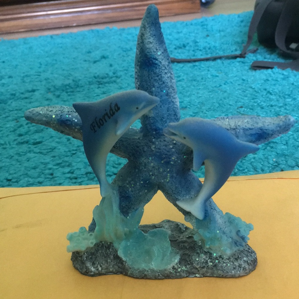 Florida starfish with dolphins